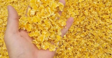 為什么說玉米壓片機是飼料玉米片的核心